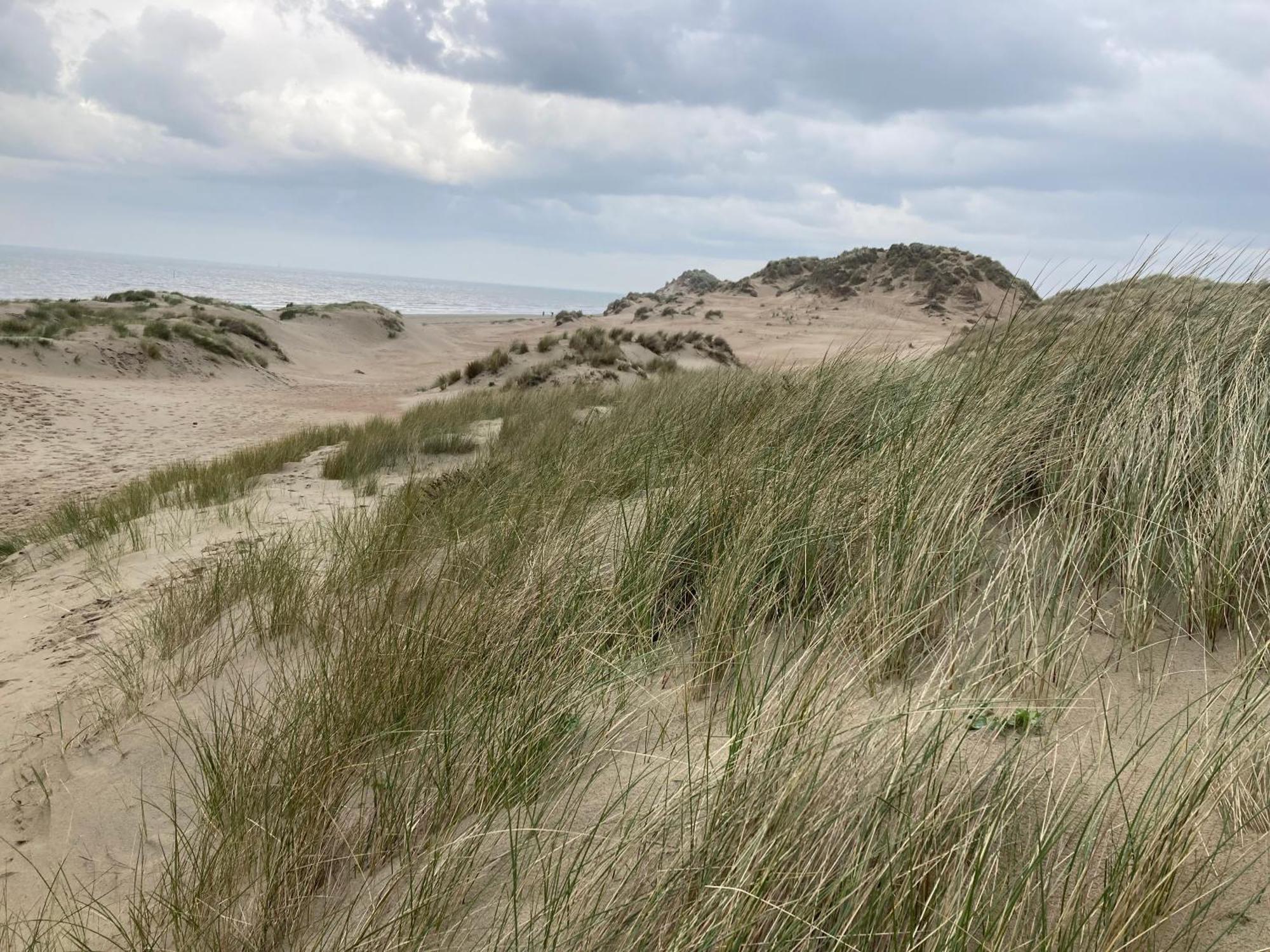 Вилла Terduinen Остдёйнкерке Экстерьер фото